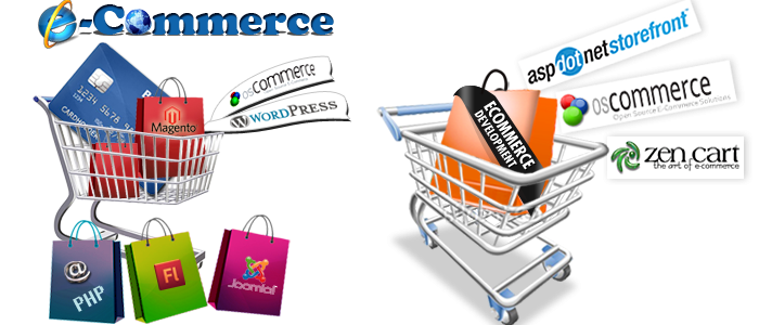 ecommerce development Pathankot punjab